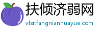 扶倾济弱网